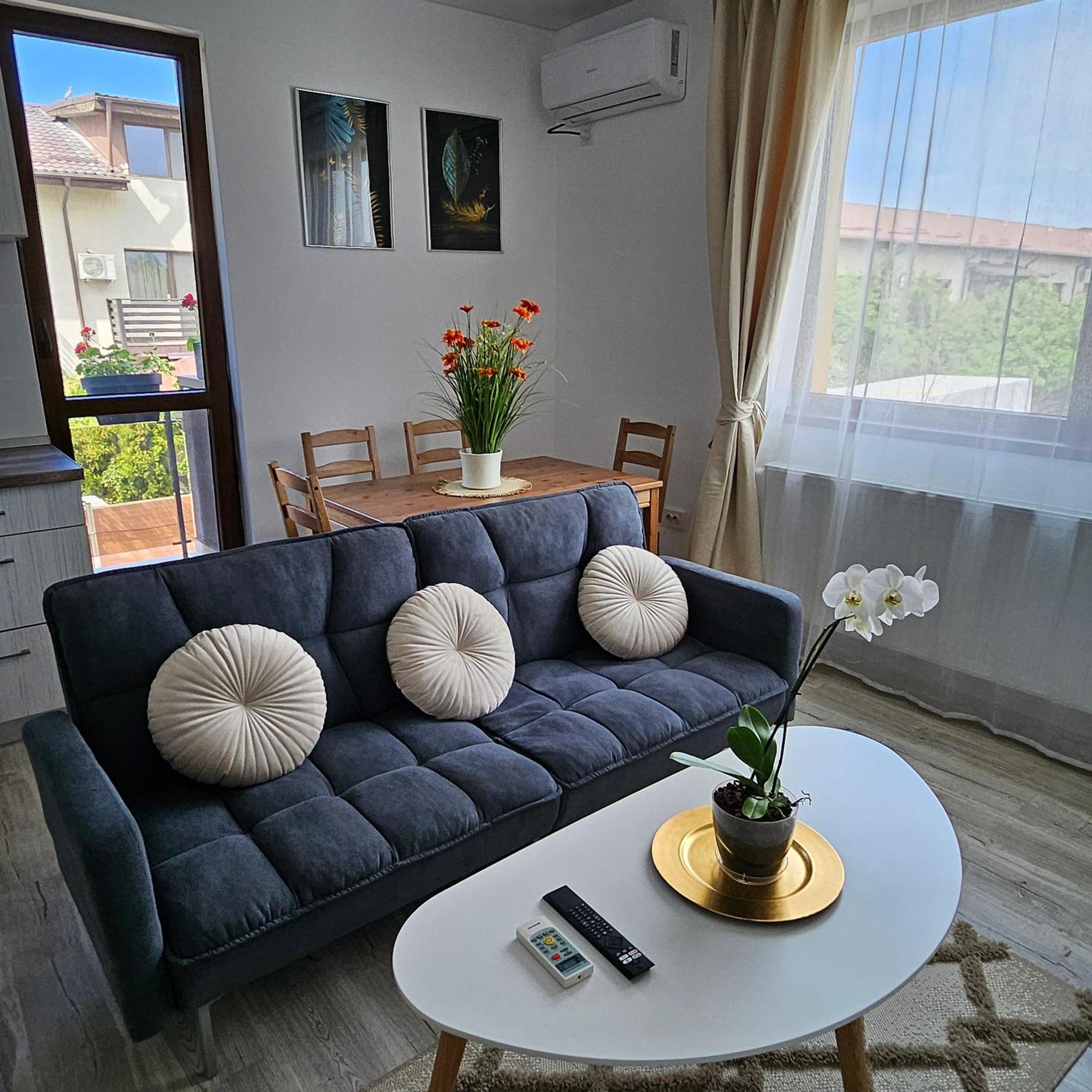 Cozy Sorada 2 Bragadiru