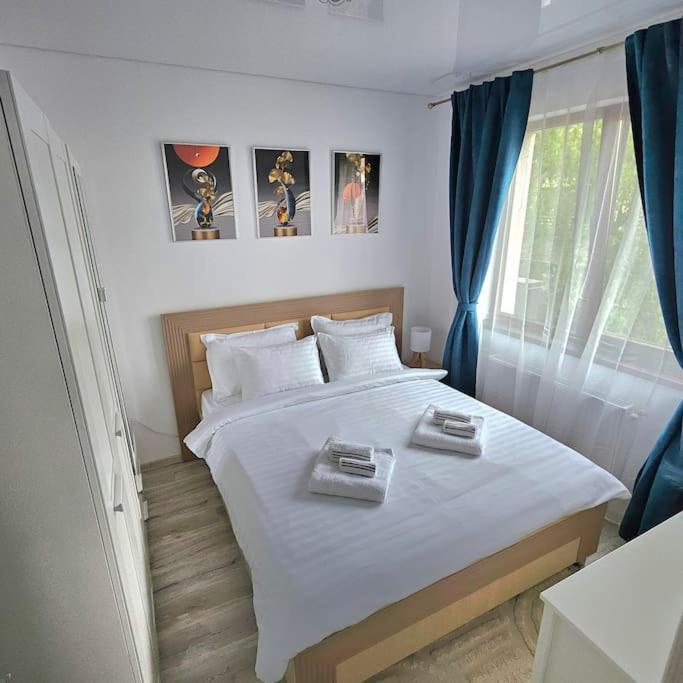 Cozy Sorada 2 Bragadiru