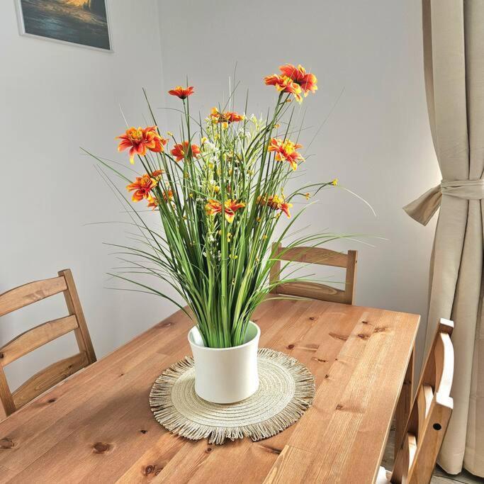 Cozy Sorada 2 Bragadiru