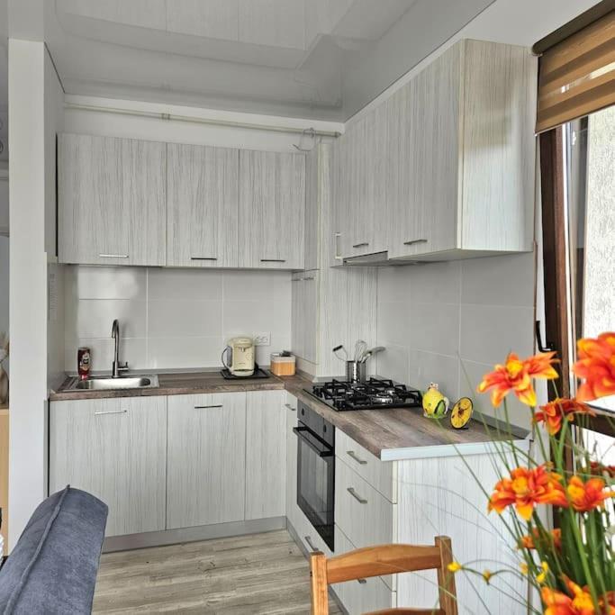 Cozy Sorada 2 Bragadiru
